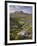 Bog Wetlands with Suilven Mountain at Dawn, Assynt Mountains, Highland, Scotland, UK, June-Joe Cornish-Framed Photographic Print