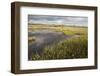 Bogbean - Buckbean (Menyanthes Trifoliata) Flowering in Pool System. Insh Marshes, Scotland, May-Peter Cairns-Framed Photographic Print