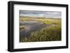 Bogbean - Buckbean (Menyanthes Trifoliata) Flowering in Pool System. Insh Marshes, Scotland, May-Peter Cairns-Framed Photographic Print