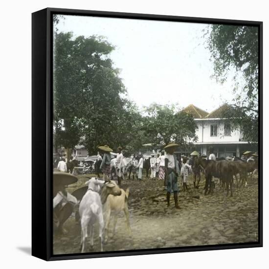 Bogor (Island of Java, Indonesia), the Horse Market, around 1900-Leon, Levy et Fils-Framed Stretched Canvas