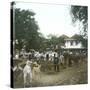 Bogor (Island of Java, Indonesia), the Horse Market, around 1900-Leon, Levy et Fils-Stretched Canvas