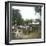 Bogor (Island of Java, Indonesia), the Horse Market, around 1900-Leon, Levy et Fils-Framed Premium Photographic Print