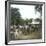 Bogor (Island of Java, Indonesia), the Horse Market, around 1900-Leon, Levy et Fils-Framed Photographic Print