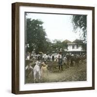 Bogor (Island of Java, Indonesia), the Horse Market, around 1900-Leon, Levy et Fils-Framed Photographic Print