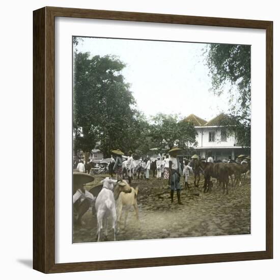 Bogor (Island of Java, Indonesia), the Horse Market, around 1900-Leon, Levy et Fils-Framed Photographic Print