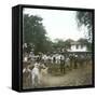 Bogor (Island of Java, Indonesia), the Horse Market, around 1900-Leon, Levy et Fils-Framed Stretched Canvas