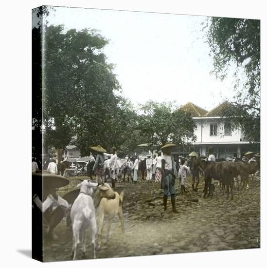 Bogor (Island of Java, Indonesia), the Horse Market, around 1900-Leon, Levy et Fils-Stretched Canvas