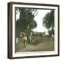 Bogor (Island of Java, Indonesia), the Main Road, around 1900-Leon, Levy et Fils-Framed Photographic Print