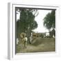 Bogor (Island of Java, Indonesia), the Main Road, around 1900-Leon, Levy et Fils-Framed Photographic Print