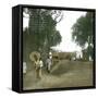 Bogor (Island of Java, Indonesia), the Main Road, around 1900-Leon, Levy et Fils-Framed Stretched Canvas