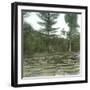 Bogor (Island of Java, Indonesia), the Victoria Regia Botanical Garden, around 1900-Leon, Levy et Fils-Framed Photographic Print