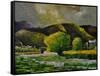 Bohan Sur Semois 97-Pol Ledent-Framed Stretched Canvas