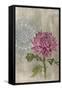 Bohemian Botanical I-Naomi McCavitt-Framed Stretched Canvas