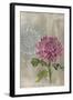 Bohemian Botanical I-Naomi McCavitt-Framed Art Print