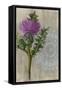 Bohemian Botanical II-Naomi McCavitt-Framed Stretched Canvas