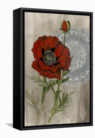 Bohemian Botanical III-Naomi McCavitt-Framed Stretched Canvas