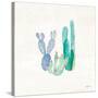 Bohemian Cactus II-Mary Urban-Stretched Canvas