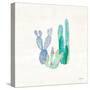 Bohemian Cactus II-Mary Urban-Stretched Canvas