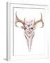 Bohemian Deer Skull - Western Mammal Watercolor-Kris_art-Framed Art Print