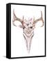 Bohemian Deer Skull - Western Mammal Watercolor-Kris_art-Framed Stretched Canvas