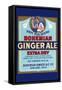 Bohemian Extra Dry Ginger Ale-null-Framed Stretched Canvas