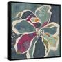 Bohemian Floral 2-Elizabeth Leonard-Framed Stretched Canvas