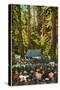Bohemian Grove, Occidental, California-null-Stretched Canvas