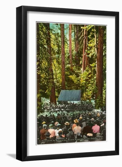 Bohemian Grove, Occidental, California-null-Framed Art Print