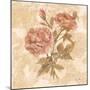 Bohemian Roses I-Cheri Blum-Mounted Art Print