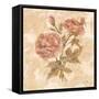 Bohemian Roses I-Cheri Blum-Framed Stretched Canvas