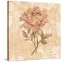 Bohemian Roses III-Cheri Blum-Stretched Canvas