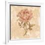 Bohemian Roses III-Cheri Blum-Framed Art Print