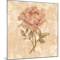 Bohemian Roses III-Cheri Blum-Mounted Art Print