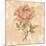 Bohemian Roses III-Cheri Blum-Mounted Art Print