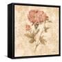 Bohemian Roses IV-Cheri Blum-Framed Stretched Canvas