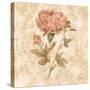 Bohemian Roses IV-Cheri Blum-Stretched Canvas