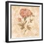 Bohemian Roses IV-Cheri Blum-Framed Art Print