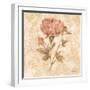 Bohemian Roses IV-Cheri Blum-Framed Art Print