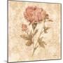 Bohemian Roses IV-Cheri Blum-Mounted Art Print