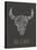 Bohemian Style Bull Skull Poster-Marish-Stretched Canvas