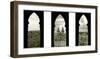 Bohemian Triptych-Tony Koukos-Framed Giclee Print