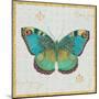 Bohemian Wings Butterfly VA-Daphne Brissonnet-Mounted Art Print