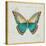 Bohemian Wings Butterfly VIA-Daphne Brissonnet-Stretched Canvas