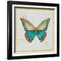 Bohemian Wings Butterfly VIA-Daphne Brissonnet-Framed Art Print