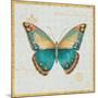 Bohemian Wings Butterfly VIA-Daphne Brissonnet-Mounted Art Print