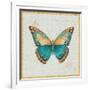 Bohemian Wings Butterfly VIA-Daphne Brissonnet-Framed Art Print