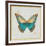 Bohemian Wings Butterfly VIA-Daphne Brissonnet-Framed Art Print