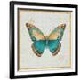 Bohemian Wings Butterfly VIA-Daphne Brissonnet-Framed Art Print