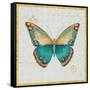 Bohemian Wings Butterfly VIA-Daphne Brissonnet-Framed Stretched Canvas