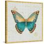 Bohemian Wings Butterfly VIA-Daphne Brissonnet-Stretched Canvas